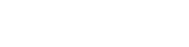 飛馬大宗